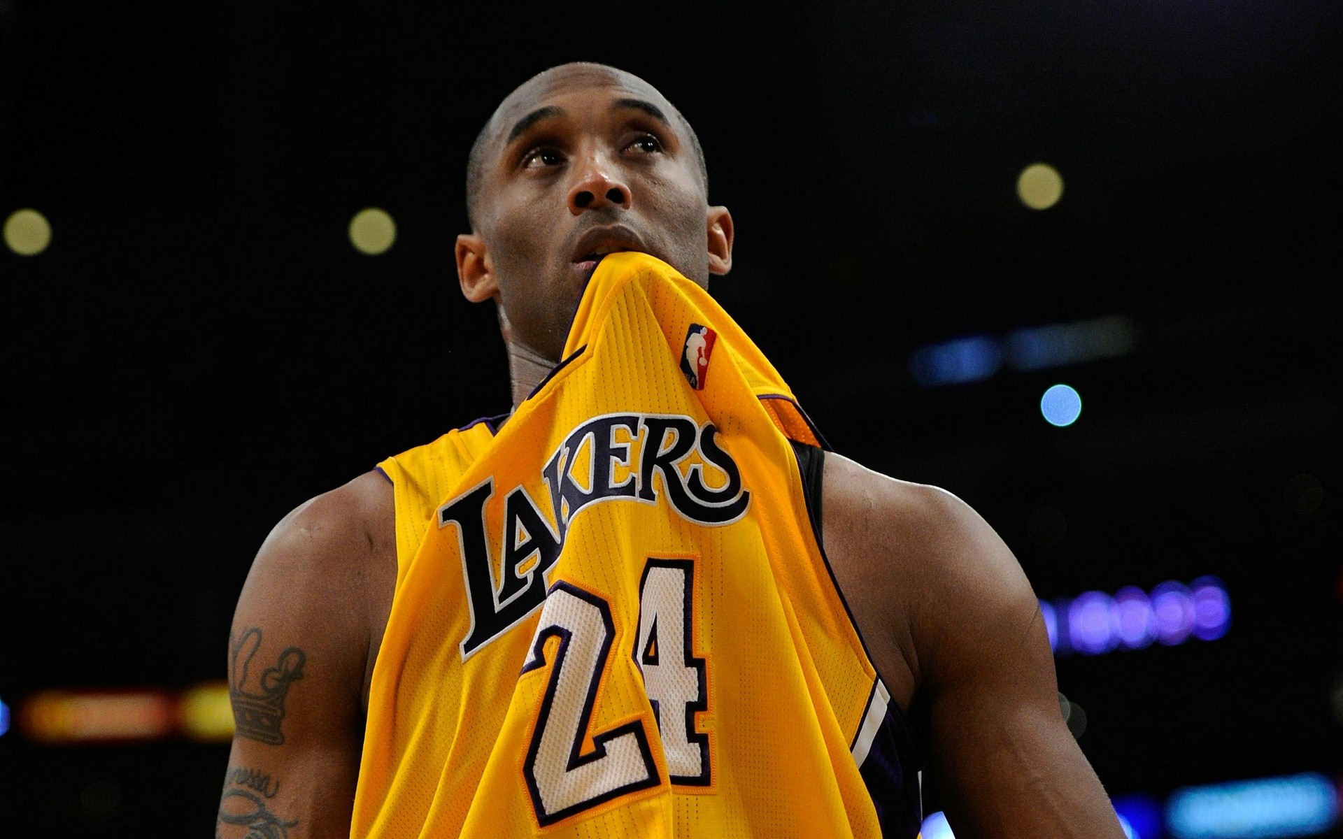 首先是技术 首先是技术