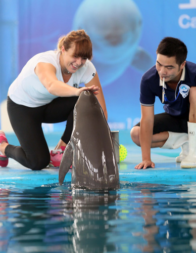 斯在锋线补 斯在锋线补