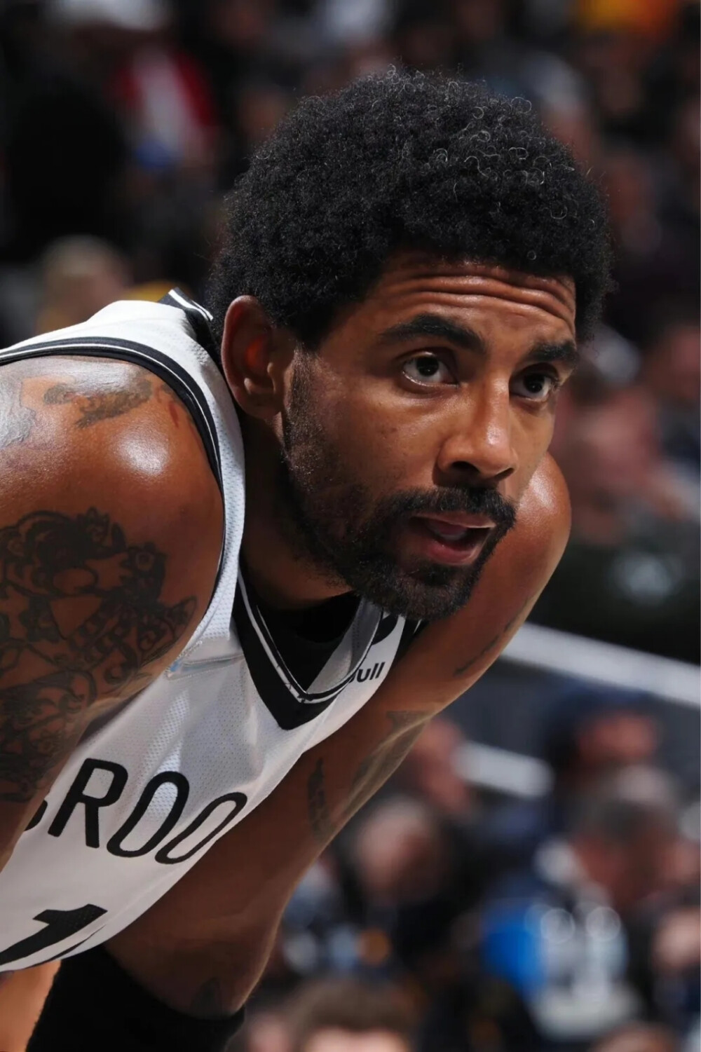 从数据上看 从数据上看